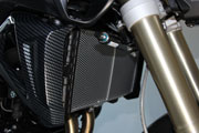 Cooler protection for BMW F 800 R (2015 - )